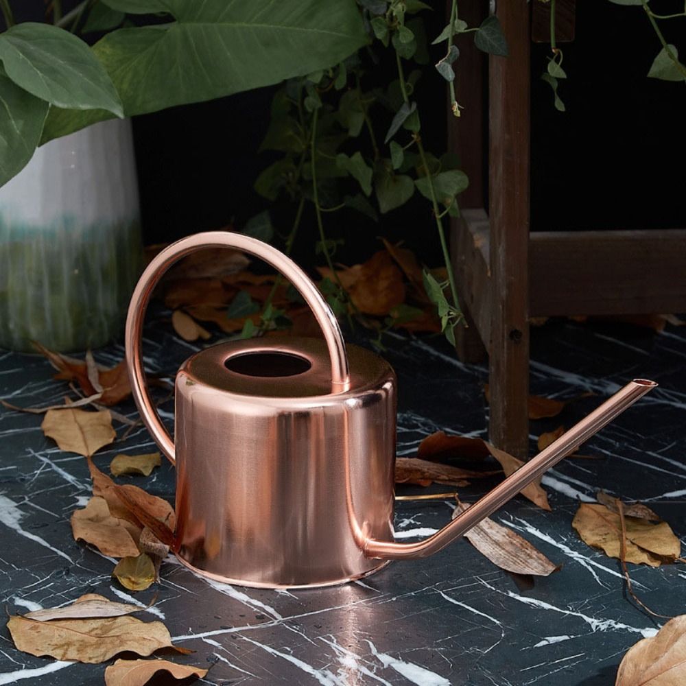 U Hoge Kwaliteit 1.3L Plant Sp - Gardening Tools Best Quality recensie en prijs