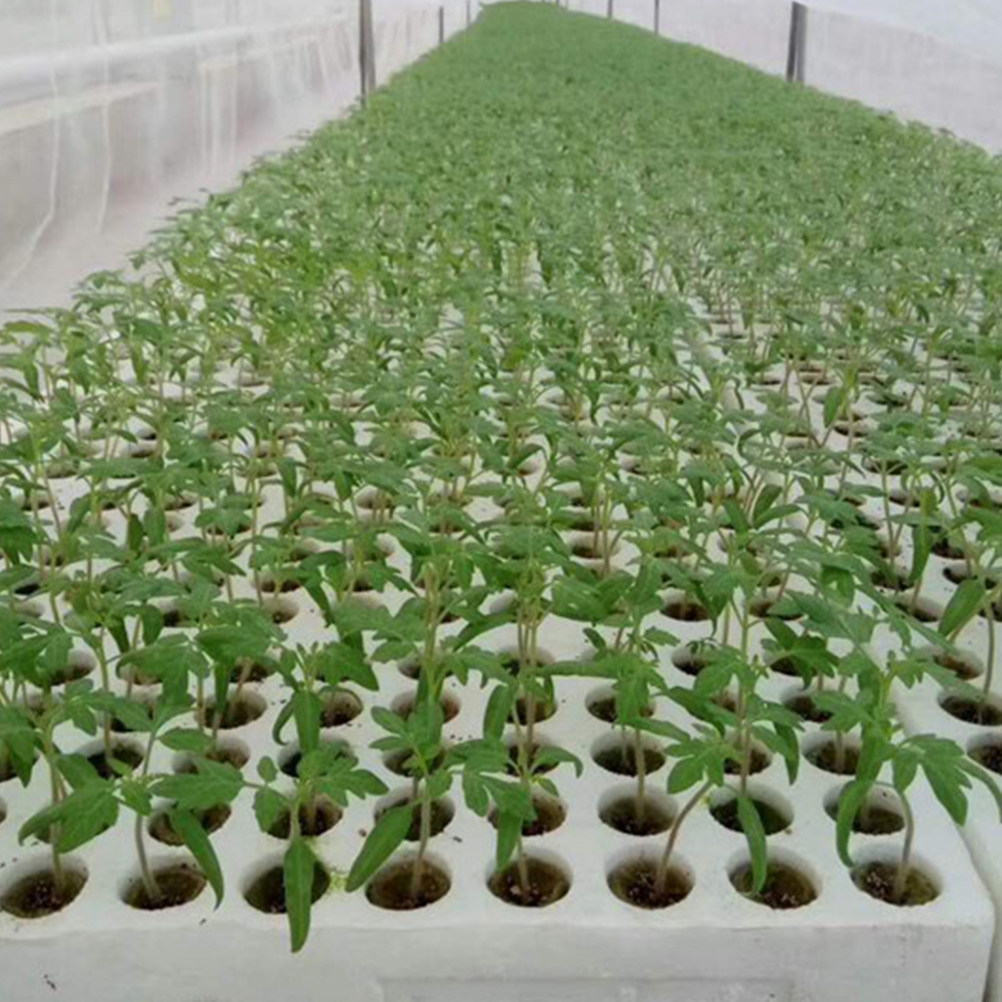 40 stuks kweekblokjes voor bod - Gardening Tools Kit recensie en prijs