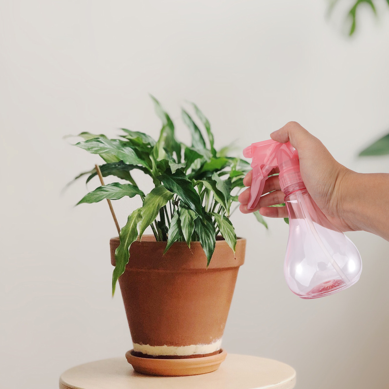 1Set Mini Succulenten Plantger - Gardening Tools Kit recensie en prijs