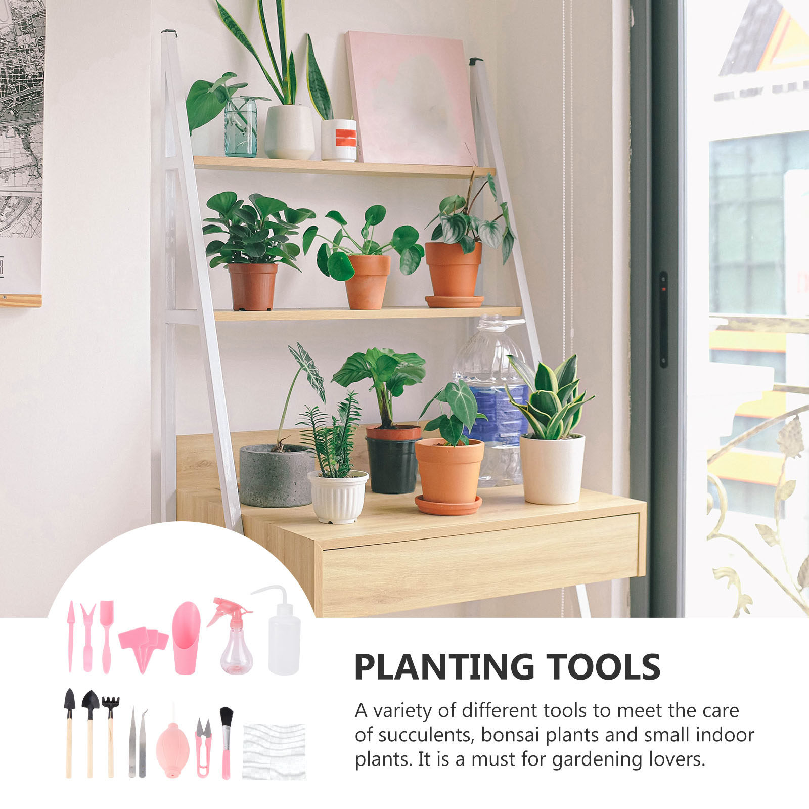 1Set Mini Succulenten Plantger - Gardening Tools Kit recensie en prijs