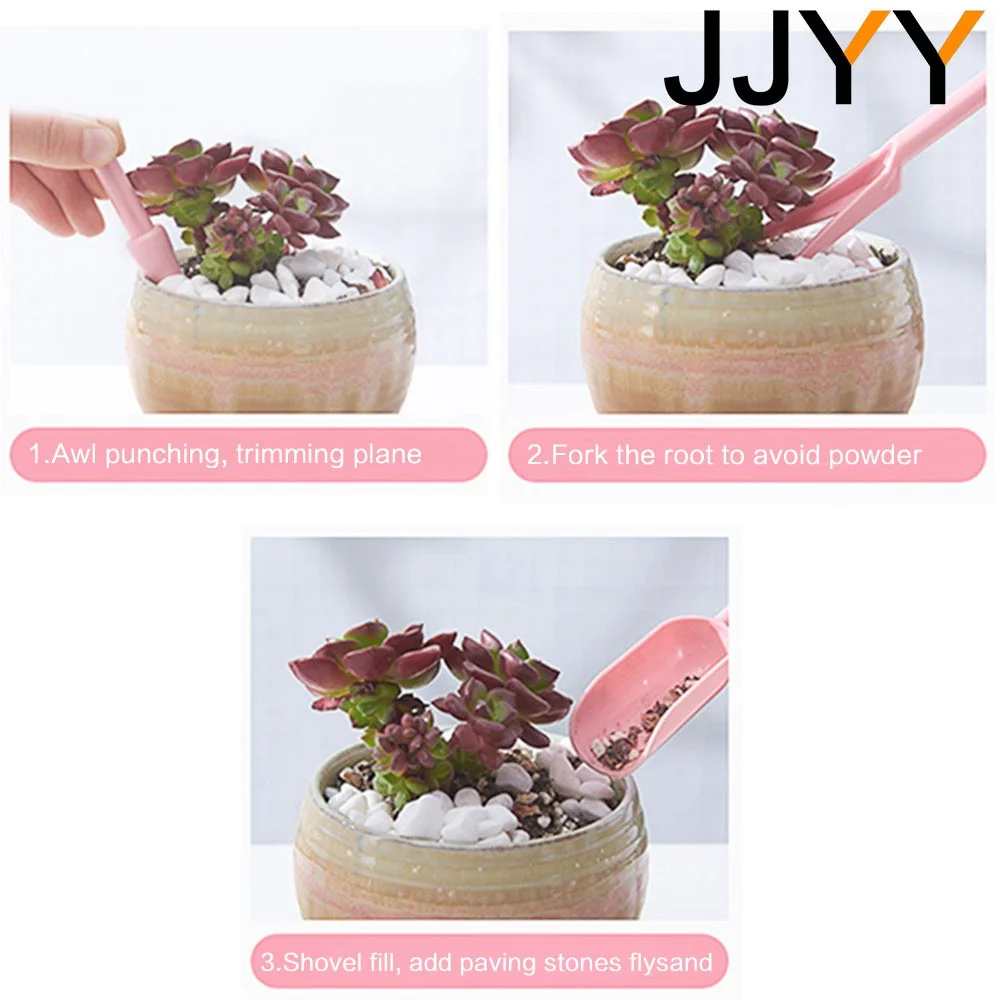 4-delige mini succulenten plan - Gardening Tools Kit recensie en prijs